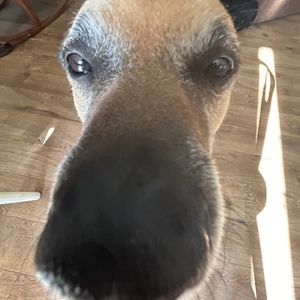 Meet your Posher, Kay